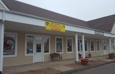 Bushido Karate Academy