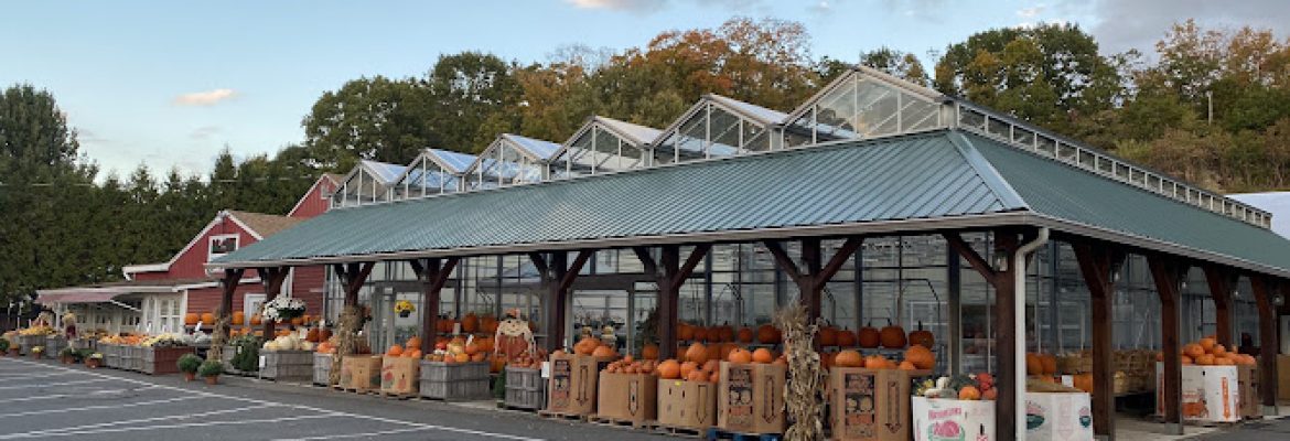 Draghi E & Sons Farm Stand