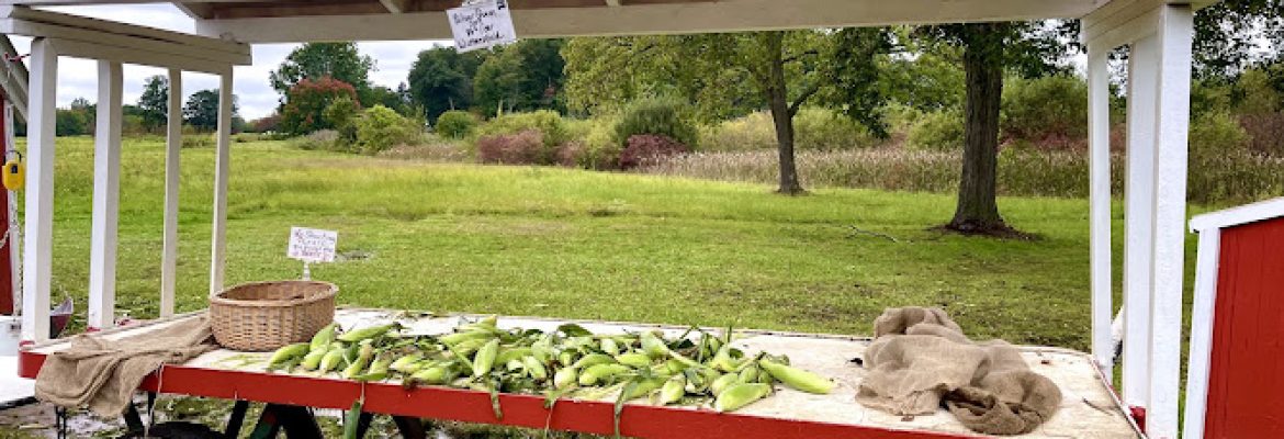 Eddy Farm Stand