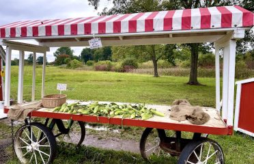 Eddy Farm Stand
