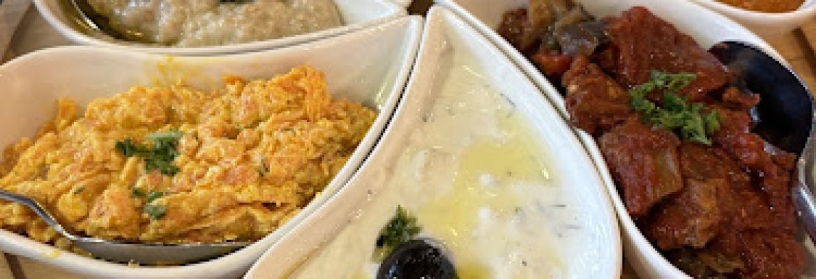 Blue Fig Garden Mediterranean Turkish Restaurant