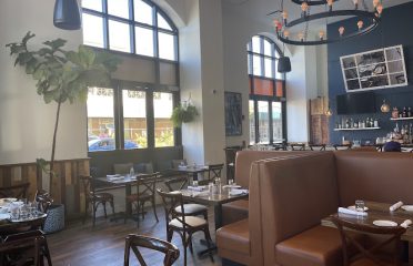 Divina Modern Italian
