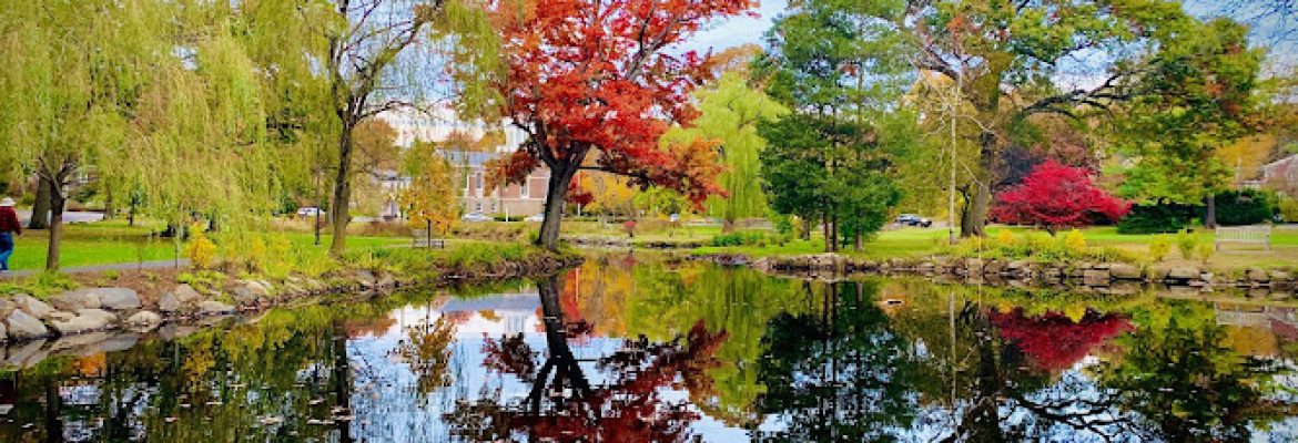 Binney Park