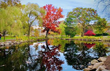 Binney Park