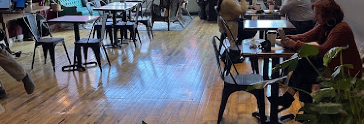 Semilla Cafe + Studio