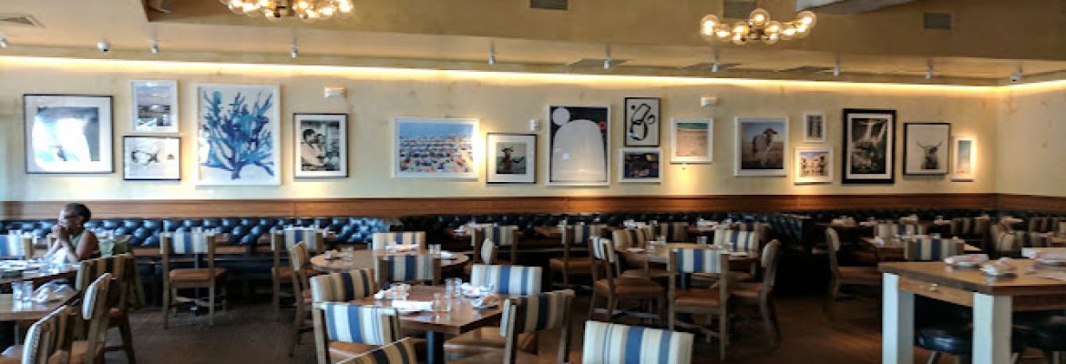 Zohara Mediterranean Kitchen