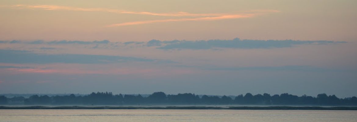 Saybrook Point