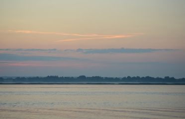 Saybrook Point