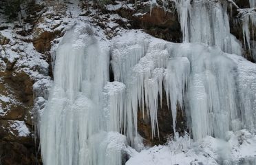 Colebrook