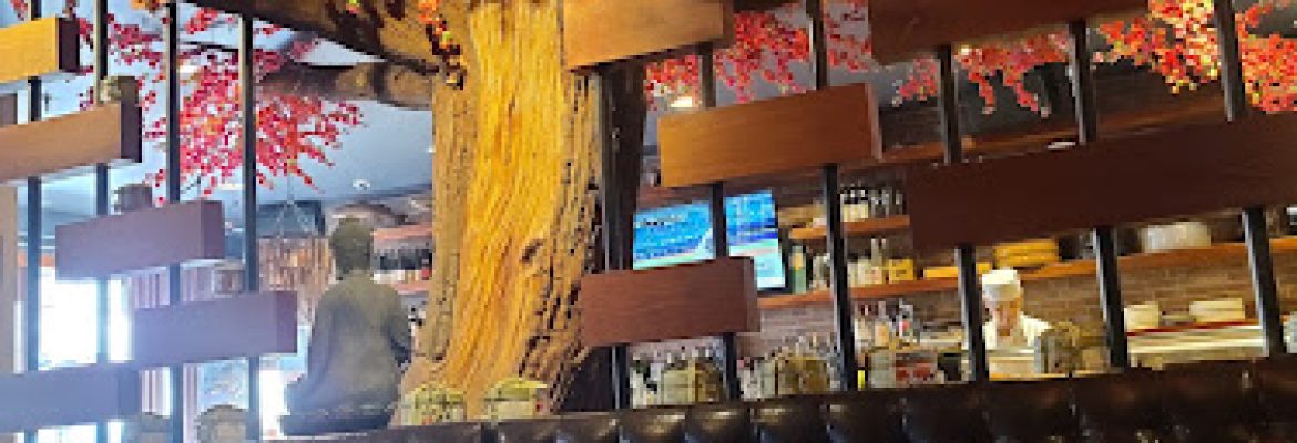 Hashi Sushi