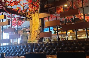 Hashi Sushi