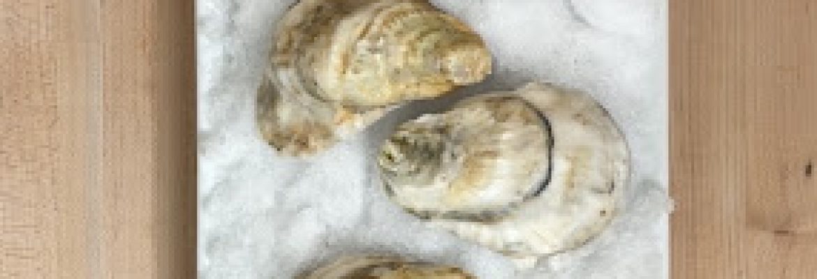 Reef to Table Oysteria
