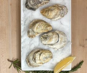 Reef to Table Oysteria