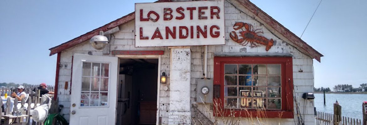 Lobster Landing