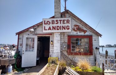 Lobster Landing