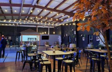 Rooted Lounge