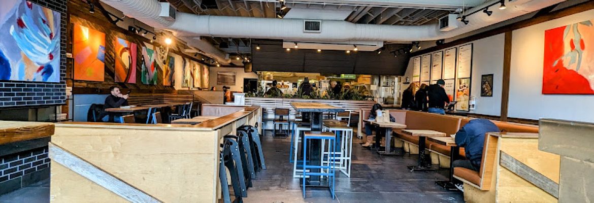Shake Shack New Haven