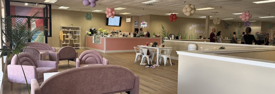 Peek-A-Brew Play Cafe