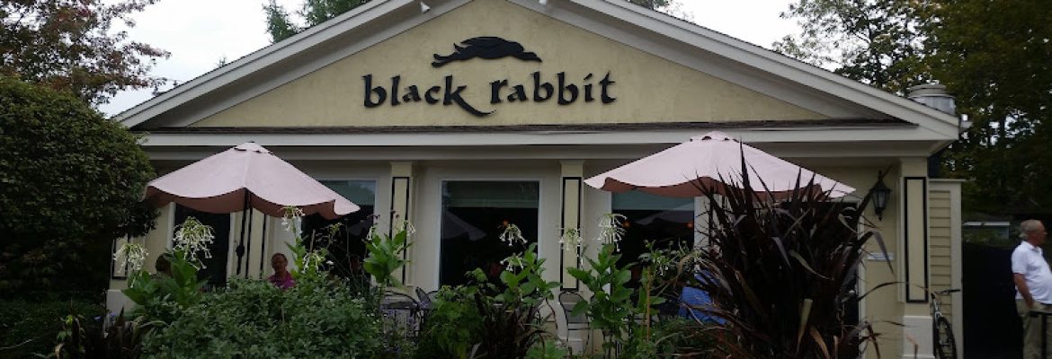 Black Rabbit