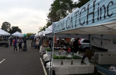 Westport Farmers’ Market – Summer/Fall Season