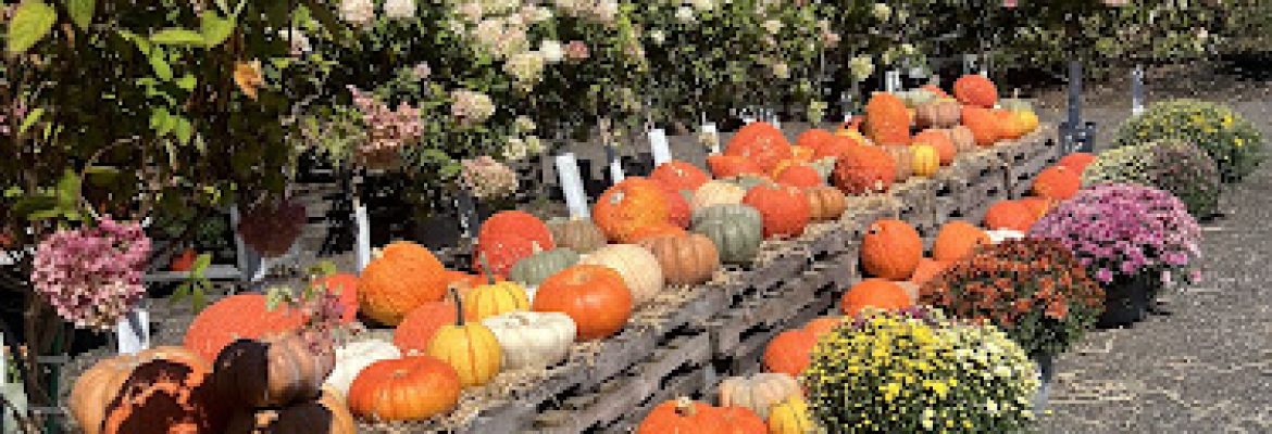 Mellilo’s Greenhouse & General Store