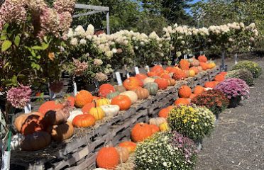 Mellilo’s Greenhouse & General Store