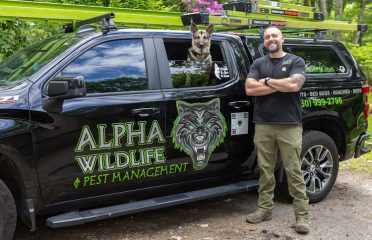 Alpha Wildlife and Pest Management