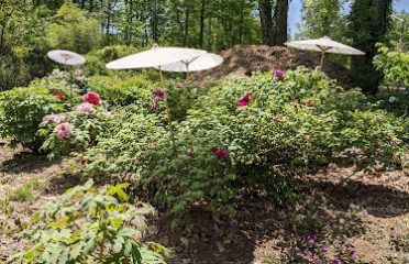 Cricket Hill Garden