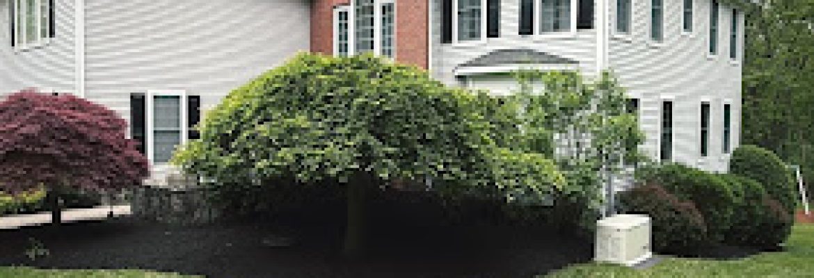 Joey’s Landscaping & Design, LLC