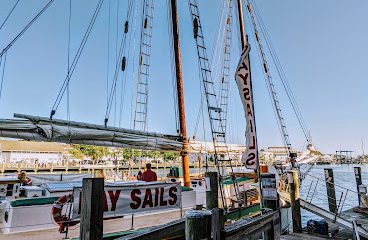 Argia -the sailing ship