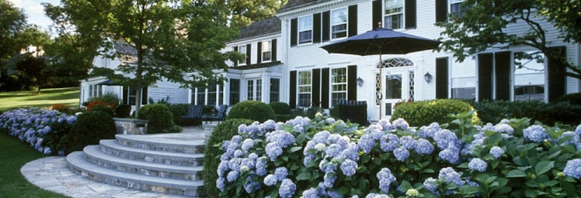 Susan Cohen Landscape Architect