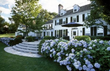 Susan Cohen Landscape Architect
