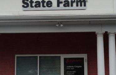 Anthony Gargano – State Farm Insurance Agent
