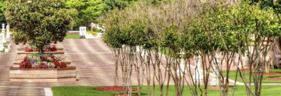 Detail Lawn Care Contractor, LLC
