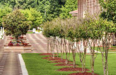Detail Lawn Care Contractor, LLC