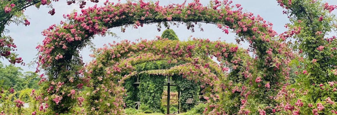 Elizabeth Park Conservancy