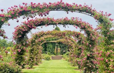 Elizabeth Park Conservancy