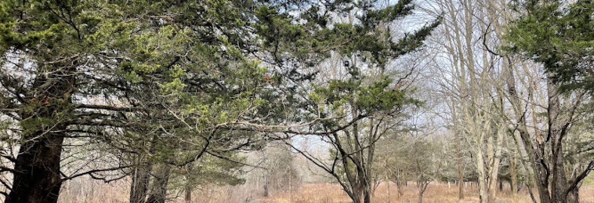 Middletown Nature Gardens