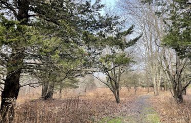Middletown Nature Gardens