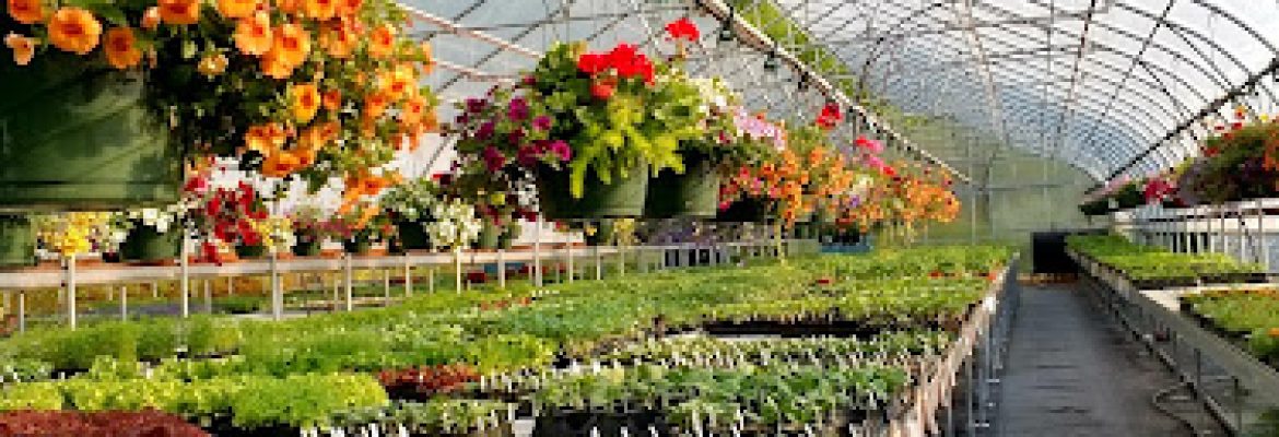 Halfinger Farms
