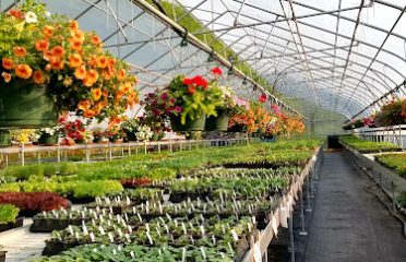 Halfinger Farms