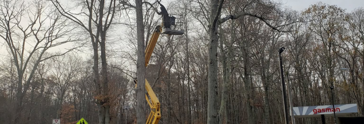 H&H Tree Service
