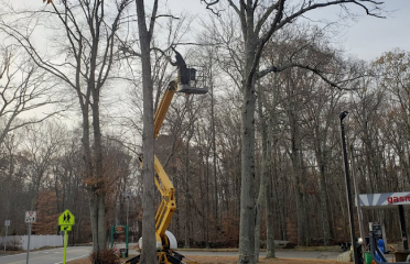 H&H Tree Service