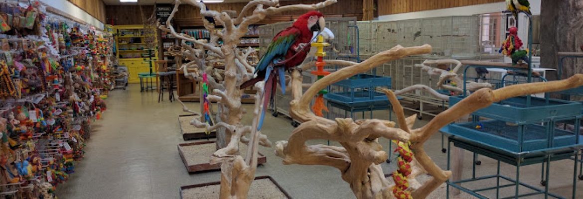 Parrots & Company