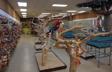 Parrots & Company