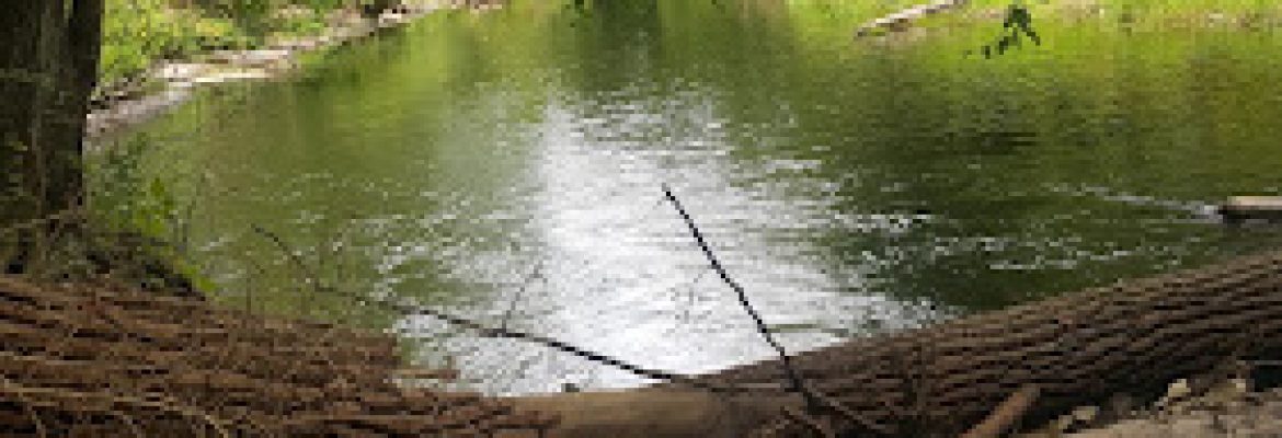 Scantic River State Park – South