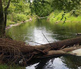 Scantic River State Park – South