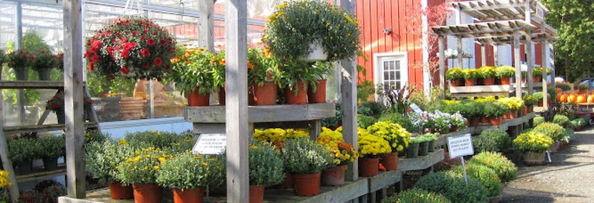 Running Brook Farms