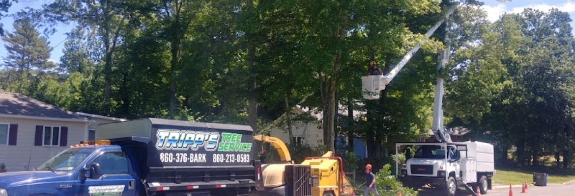 Tripp’s Tree Service