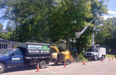 Tripp’s Tree Service